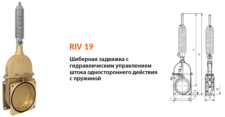   RIV 19